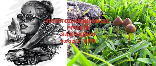 apvp Зеленодольск