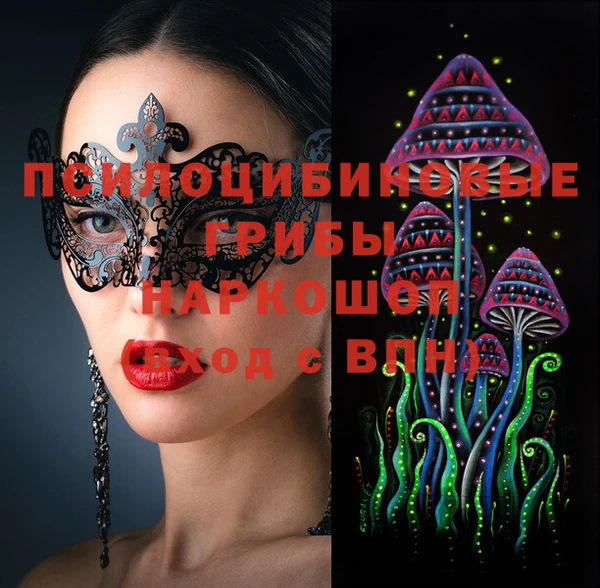 сатива Зерноград