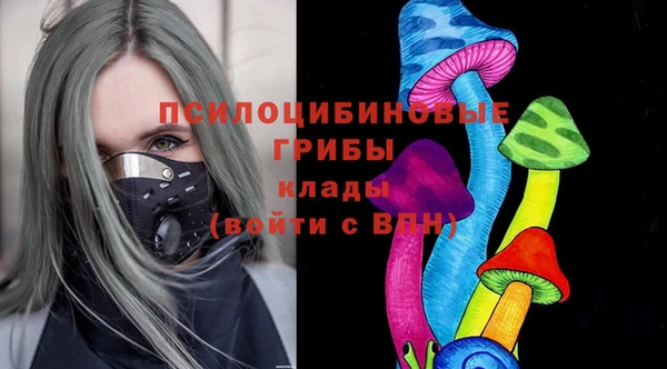 сатива Зерноград