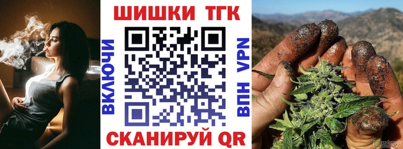 Конопля сатива  Купить где  Гурьевск 